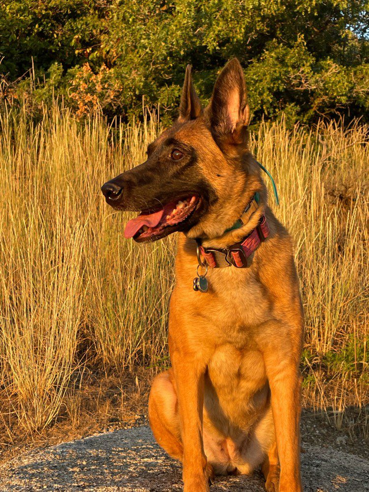 Copy of Aspen_NorthernUtah