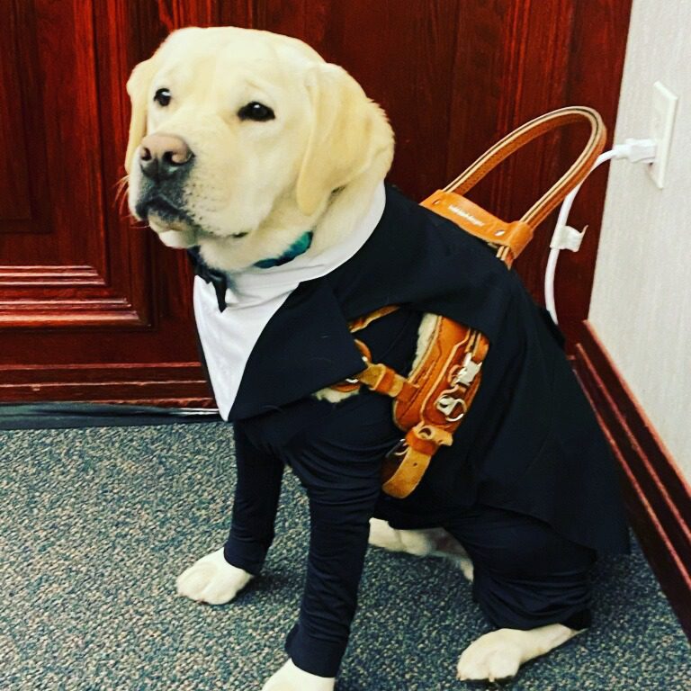 Copy of FlynnPerformance_NorthernUtah