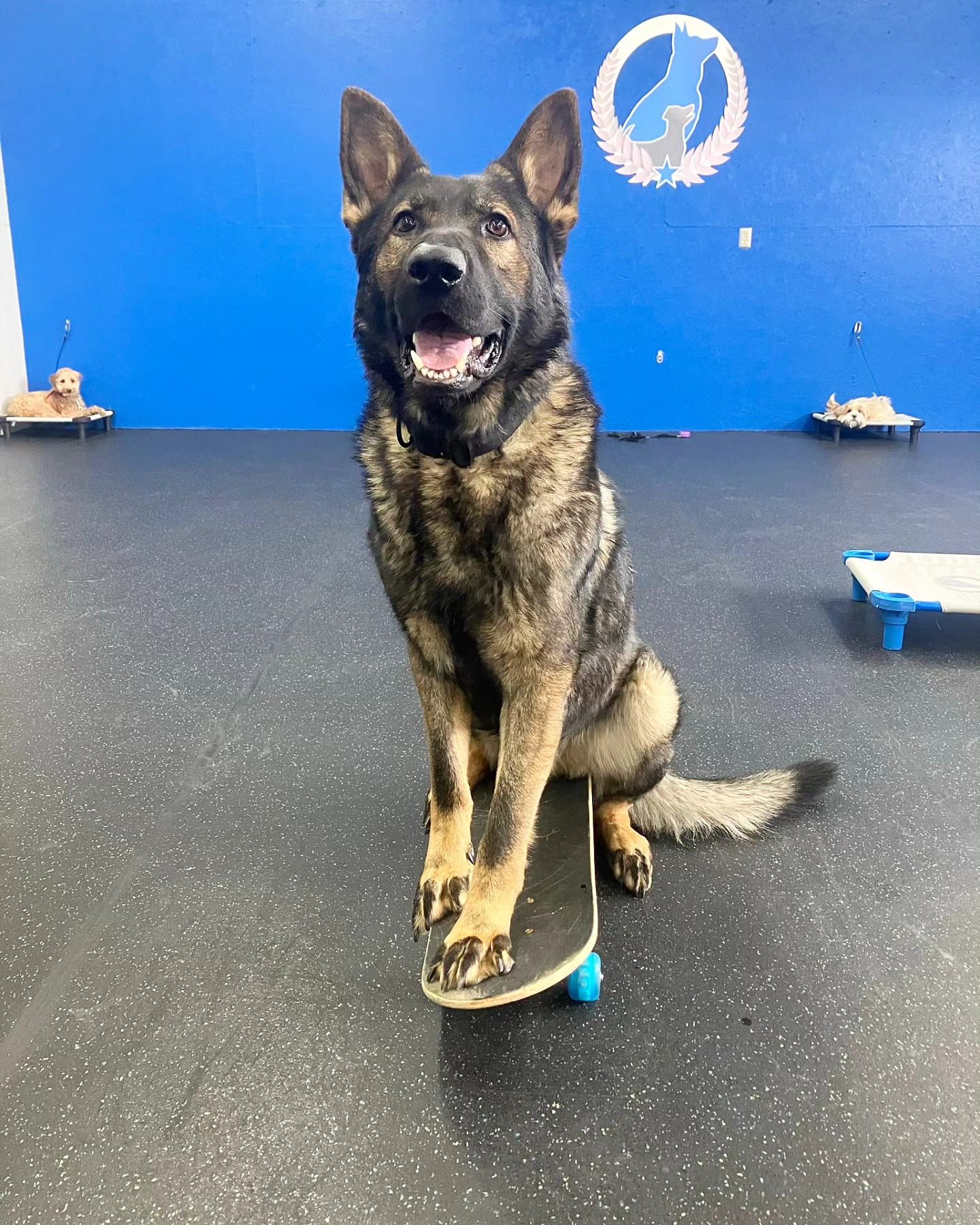 Copy of Volker_SkateBoardTrainingCenter